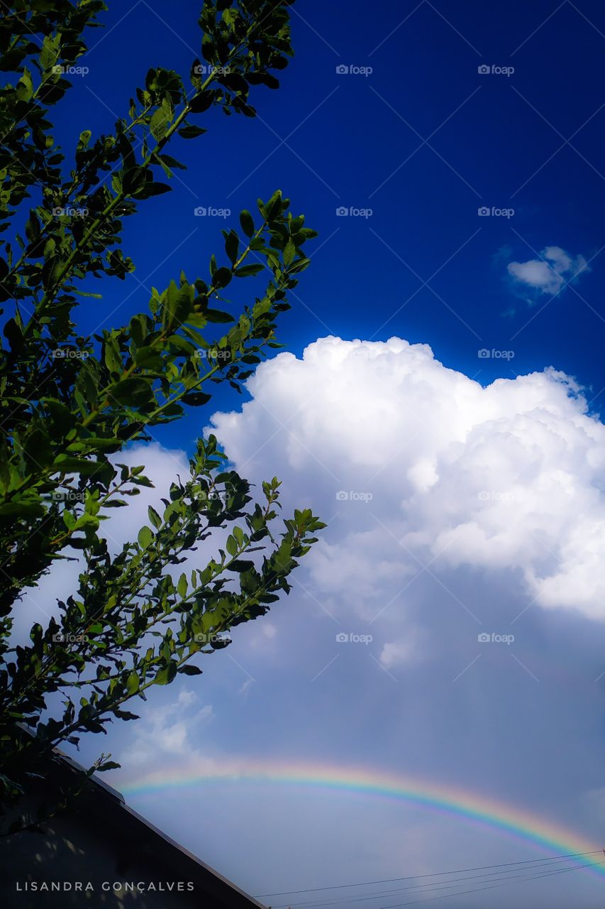 Após a tempestade, o arco-íris.