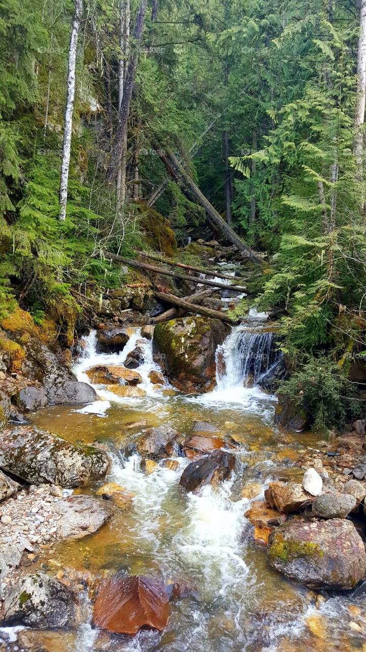 Cute And Tiny WaterFalls