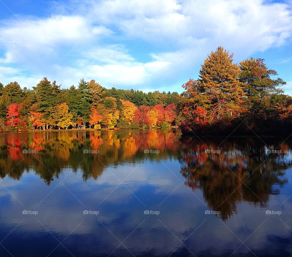 I had to stop during my morning walk to capture the beauty of this autumn morning...
