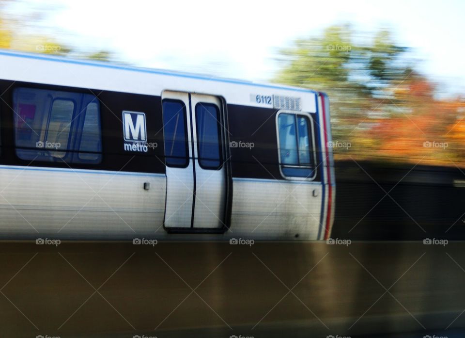 This photo really speaks to me. I snapped it as I passed another train on the way out of Chicago one evening, and something about the way the light hits the autumn leaves, combined with the motion blur of the speeding train really hits home.
