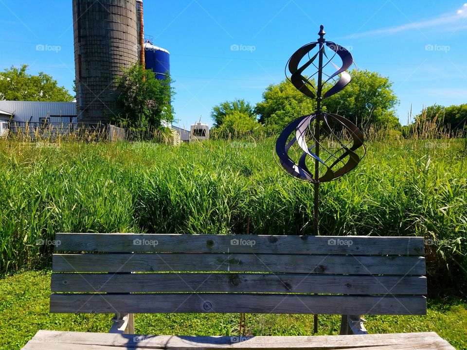Grass, Summer, No Person, Nature, Outdoors