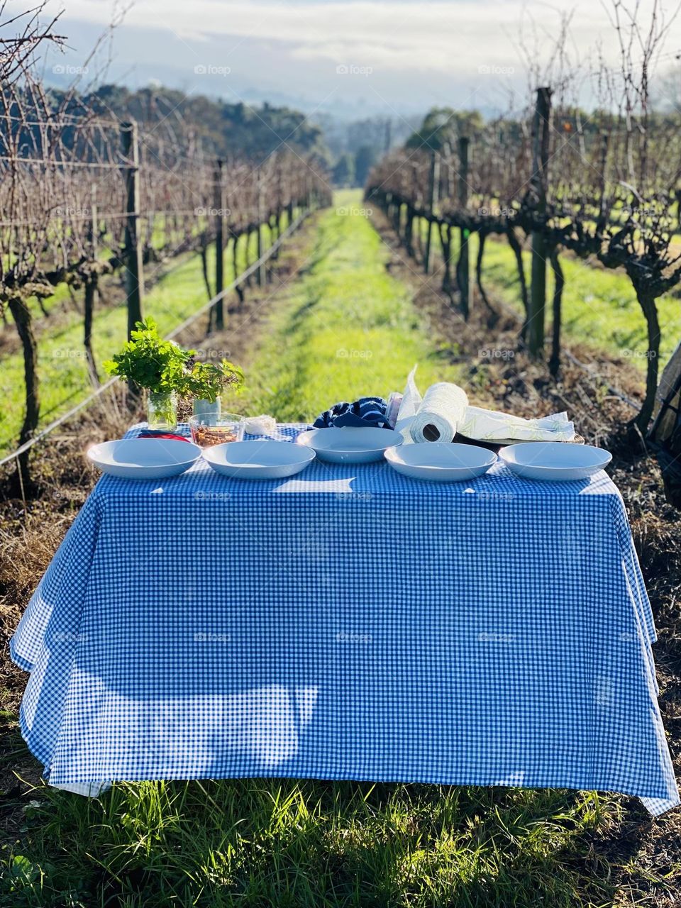 Breakfast in the Vineyard 
