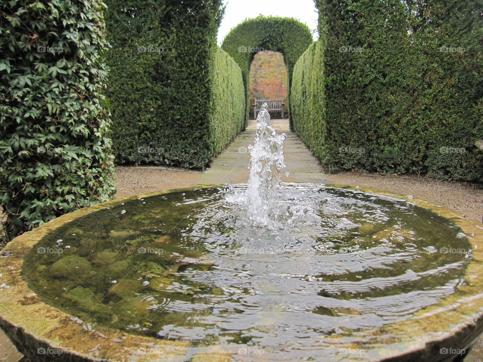 No Person, Garden, Fountain, Tree, Water