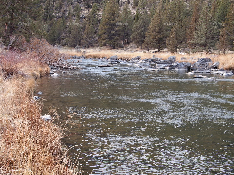 The flowing waters and the banks of the Crooked River through a canyon in Central Oregon. 