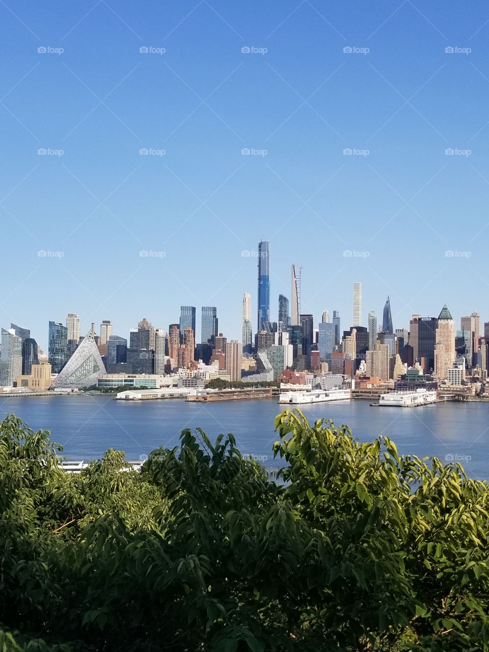 NY