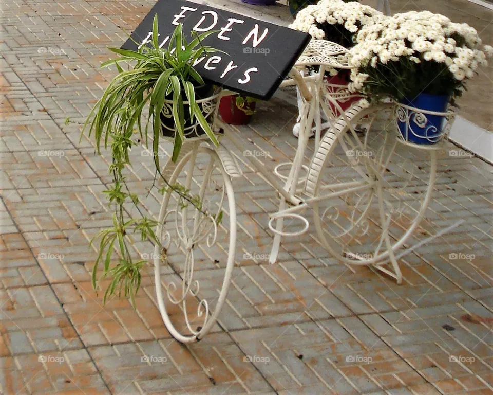 bicycle