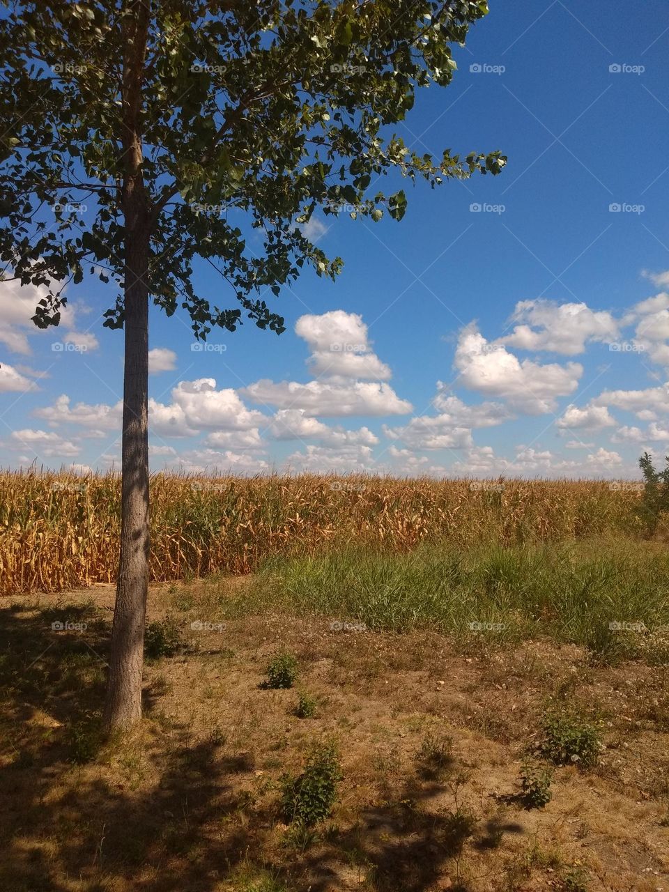 Editors' Choice - Photo of the Week!