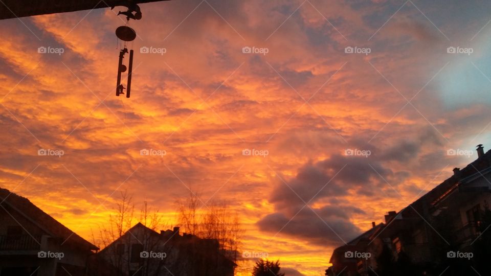 Exhilarating view of the eyecatching, picturesque shades of orange which paint the sky genuinly