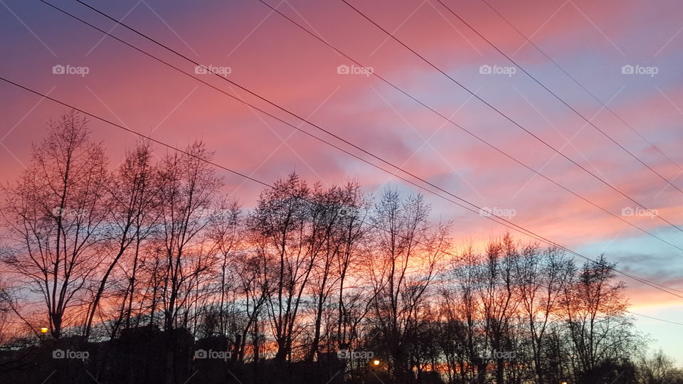 sunset in the city park