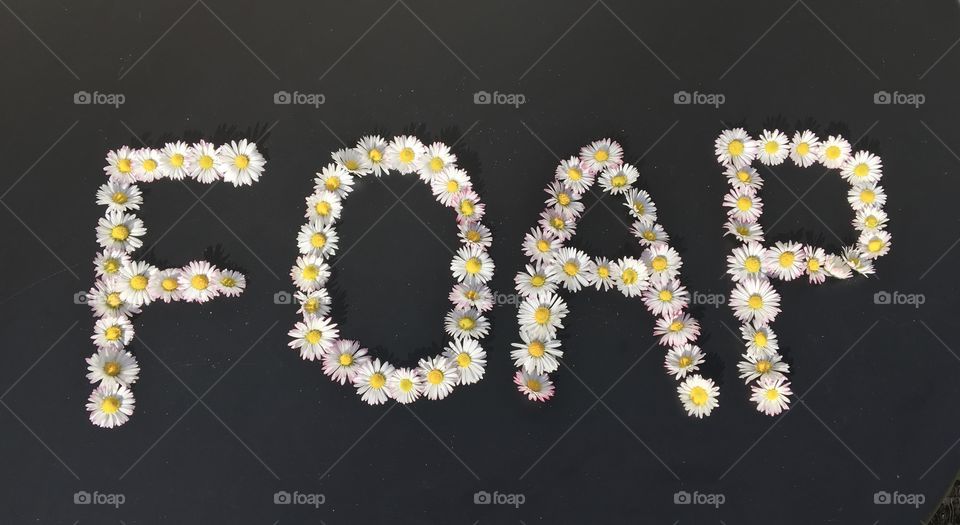 Daisy message 