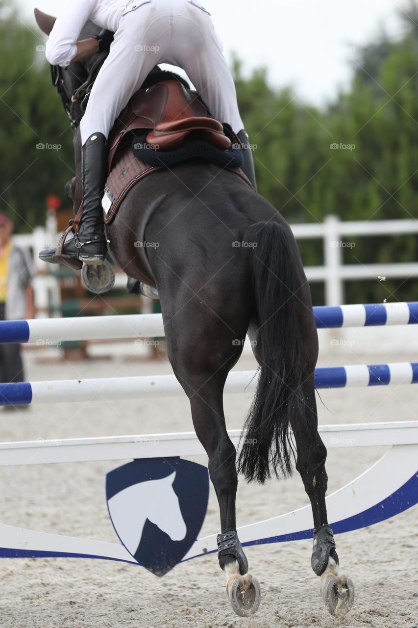 Horse and rider jumping on show jumping competition