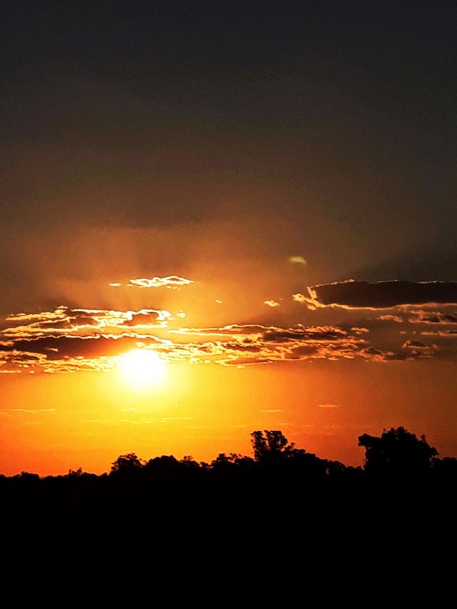 summer sunset