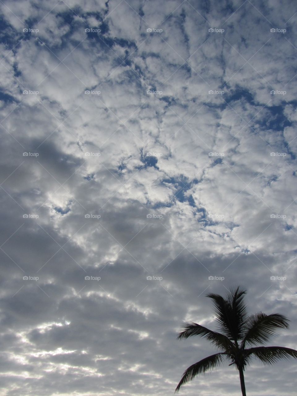 SUNRISE SKY CARRIBBEAN