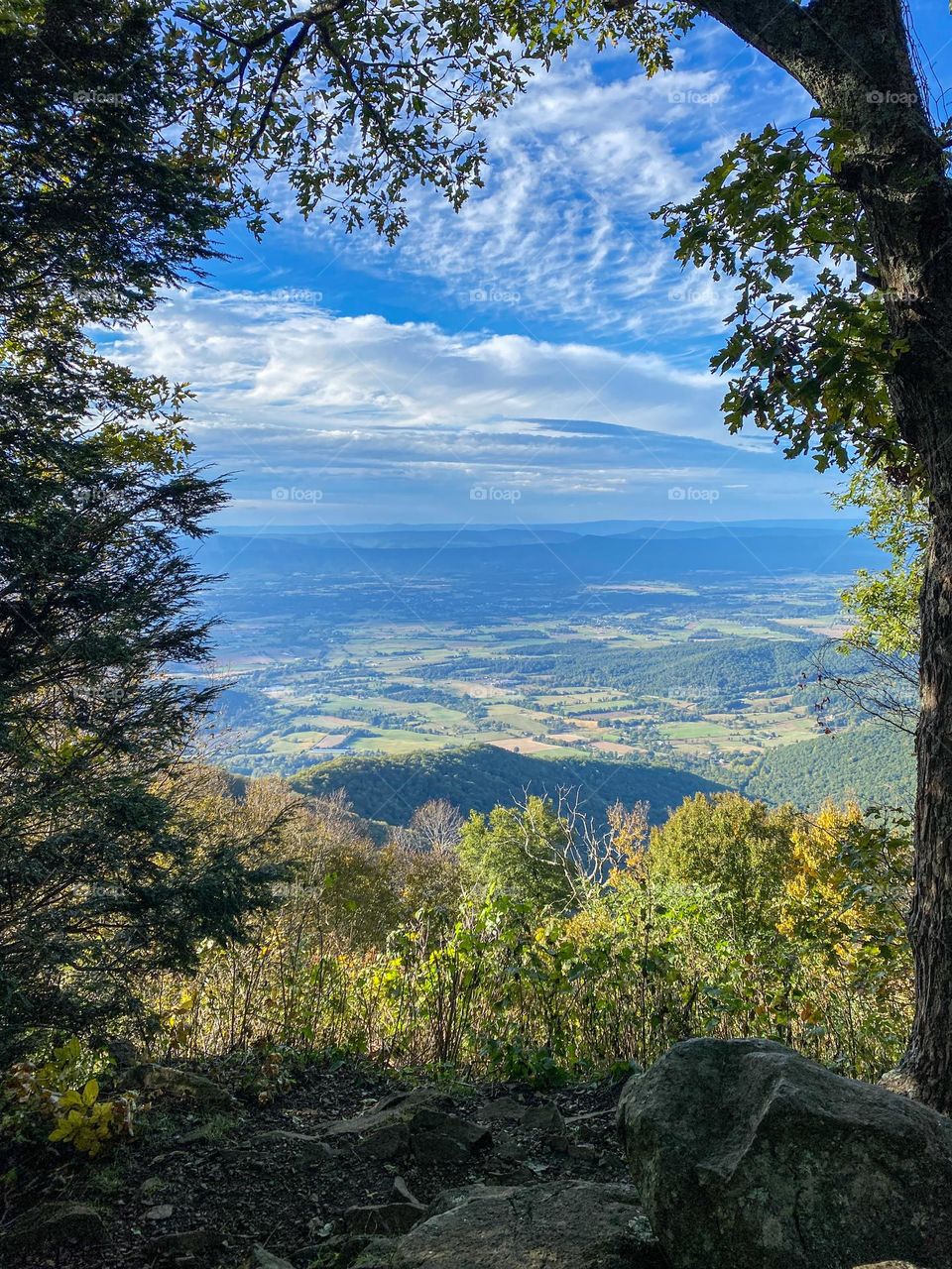 Framed by the natural surrounding, the Blue Ridge Mountains and the valley below.  Beautiful scenic view on the way to the top of the Stony Man Summit in Shenandoah National Park in Virginia. 