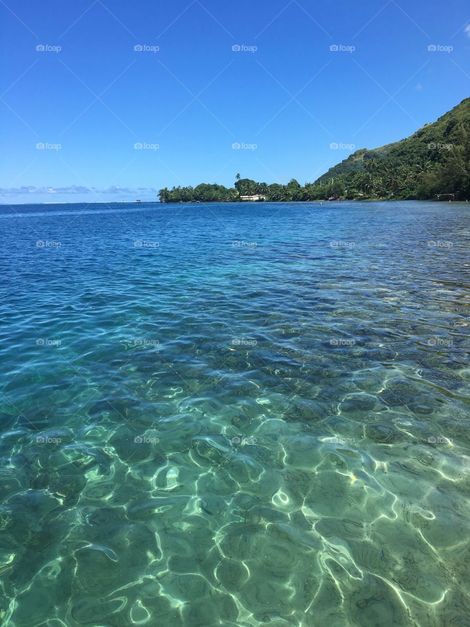 Clear water in Tahiti 