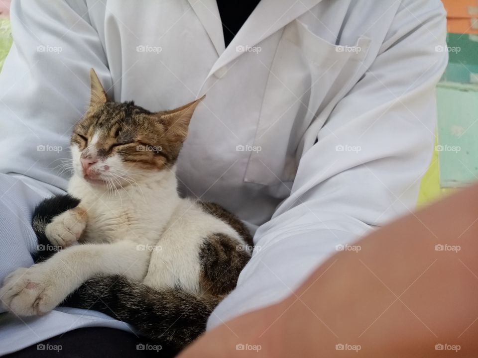 Just a few minutes this cat Will be my freind