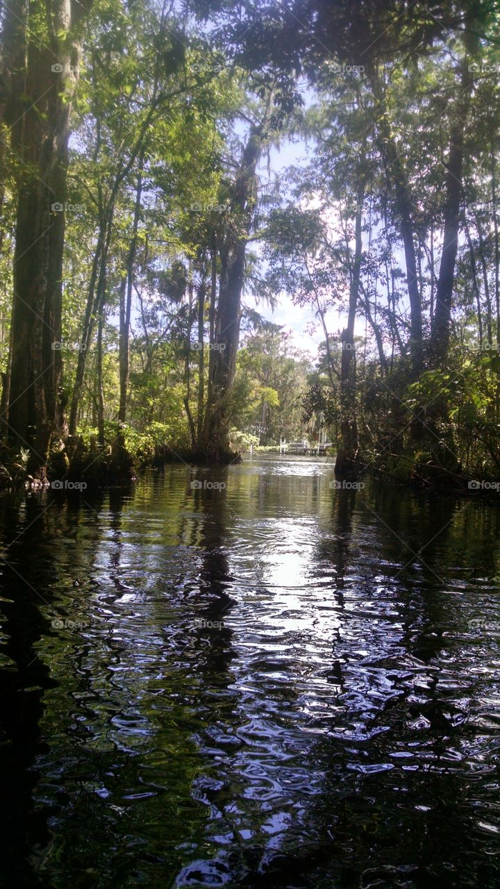 River Exploration