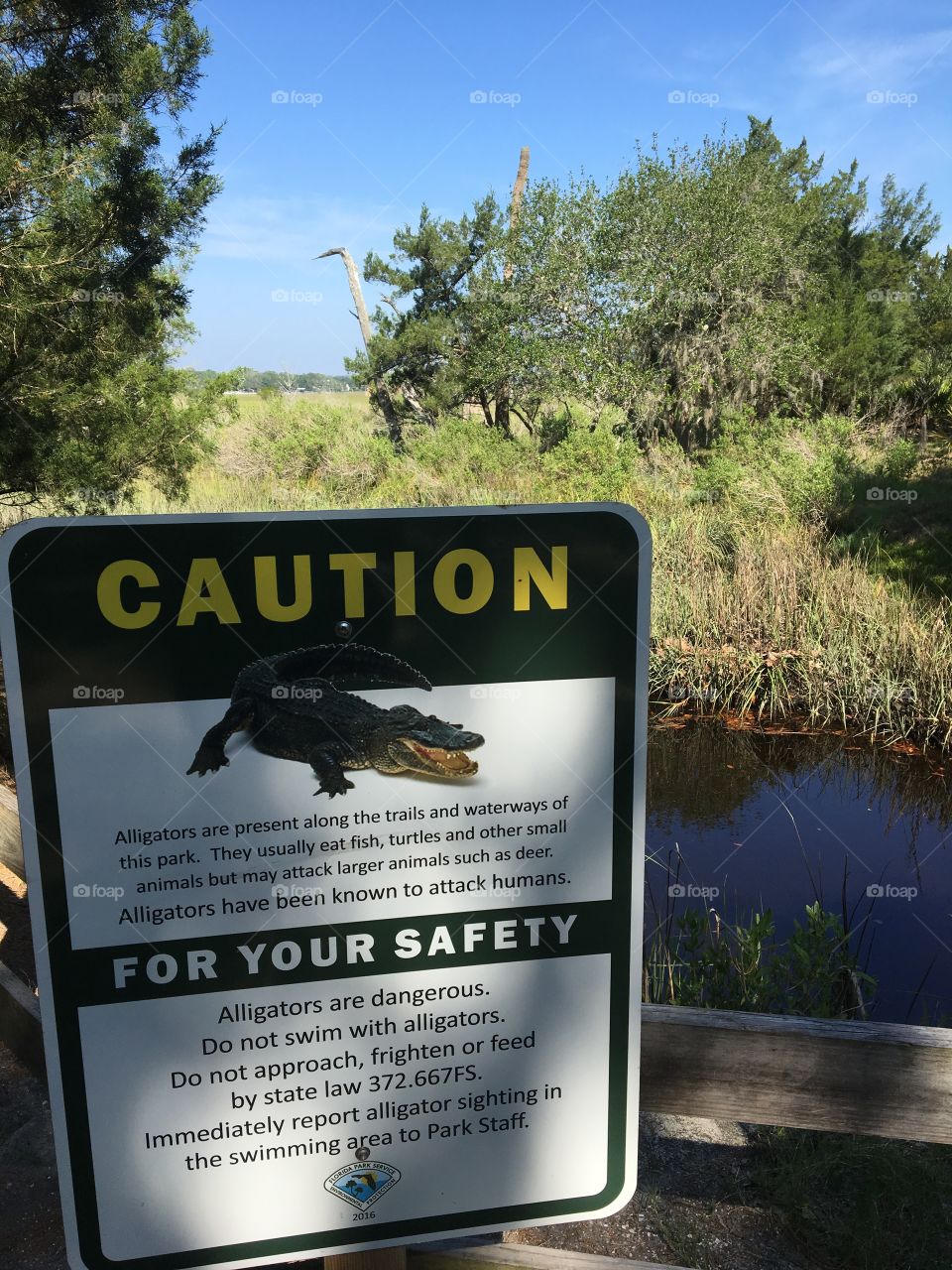 Alligator sign fort clinch Florida