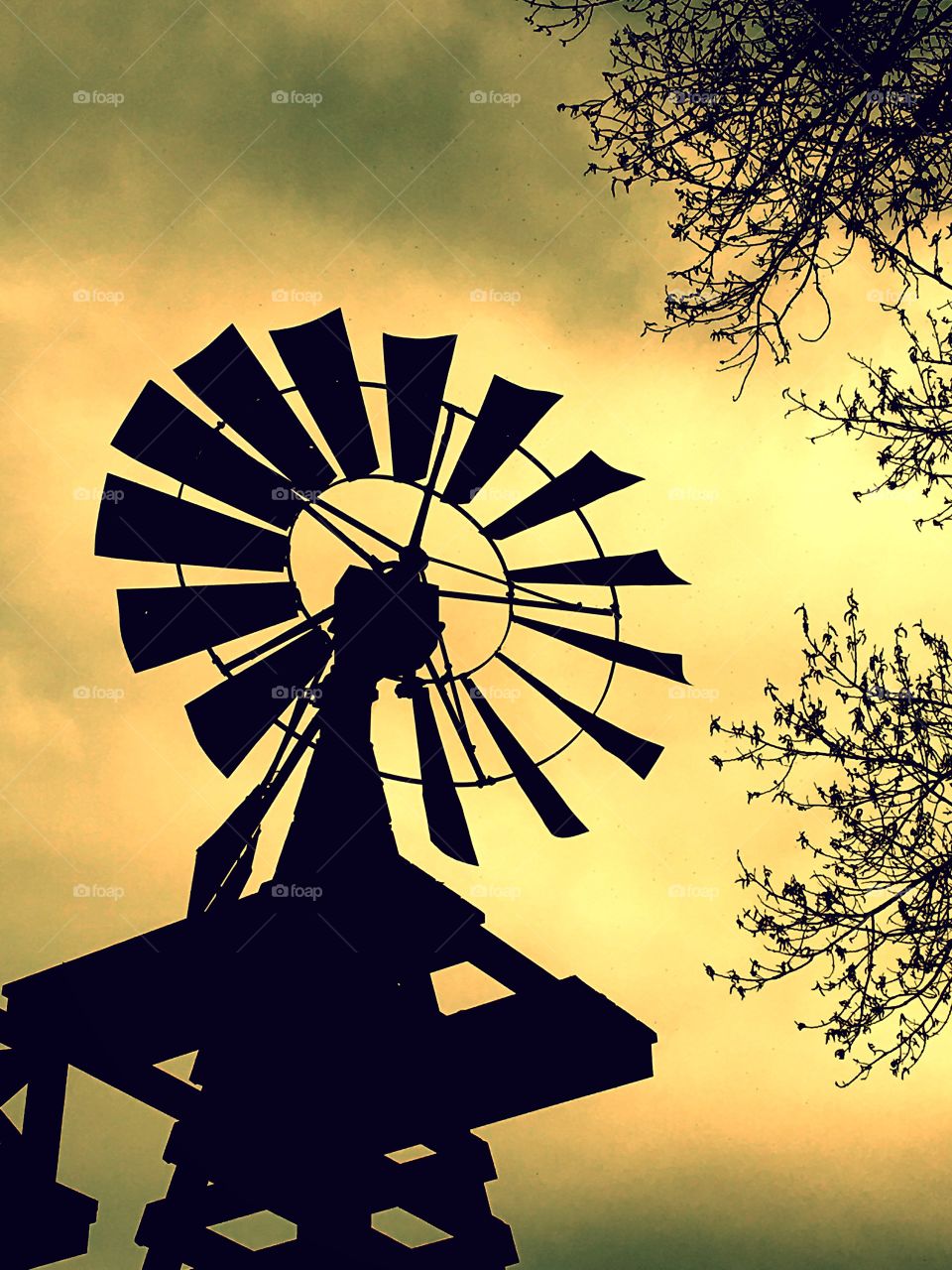 Windmill 