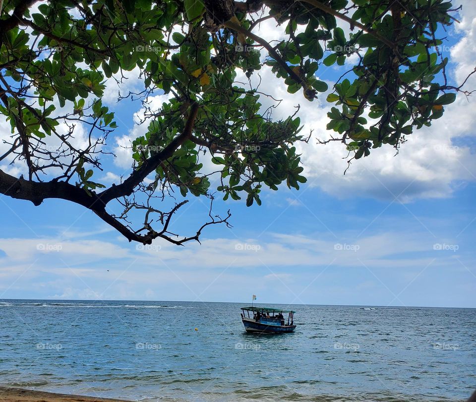 indian ocean