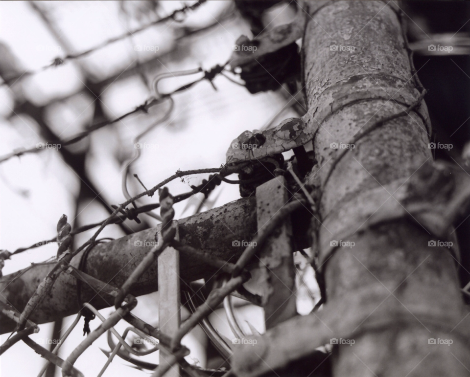 city white black fence by squishypie
