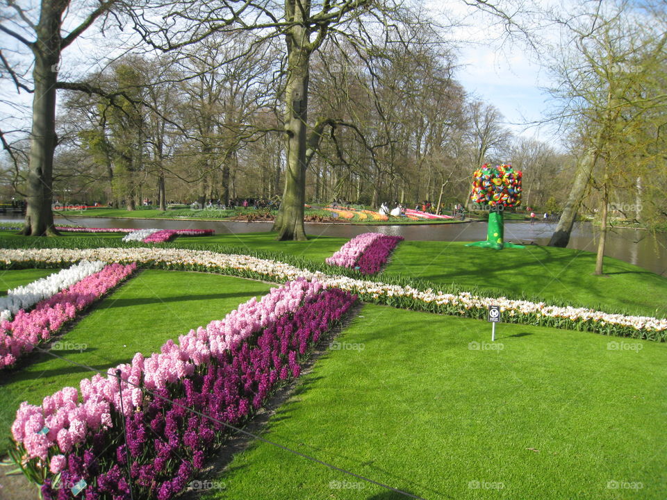 Flower park in Holland. Keukenhof 
