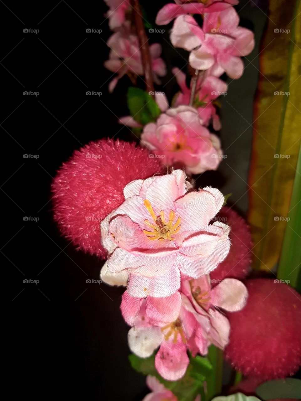 In Casablanca, on January 1, 2025, a delicate rose plant is surrounded by various shades of rose-colored hues. The soft, romantic tones blend harmoniously, creating a serene and enchanting atmosphere.