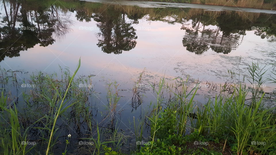 Sunset reflection