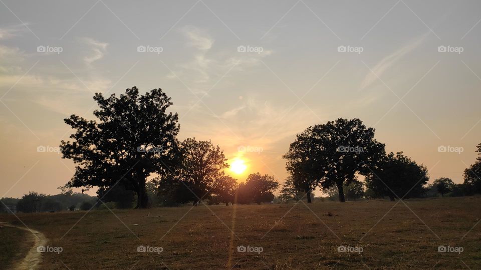 Sunset landscape in rural India