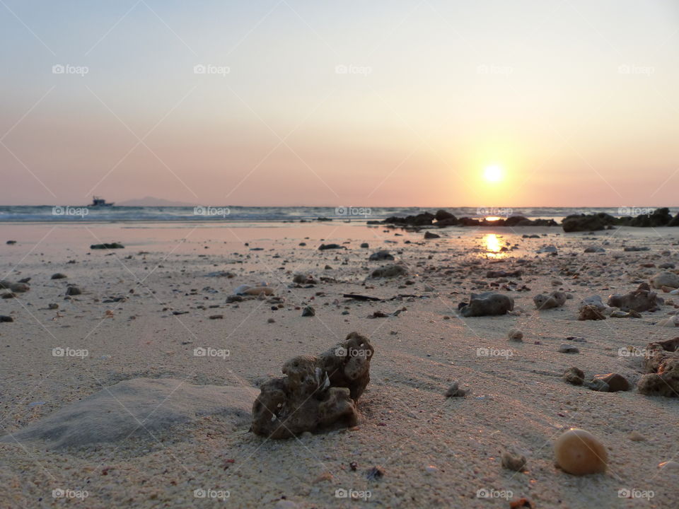 sea shells by the sea shore, thailand