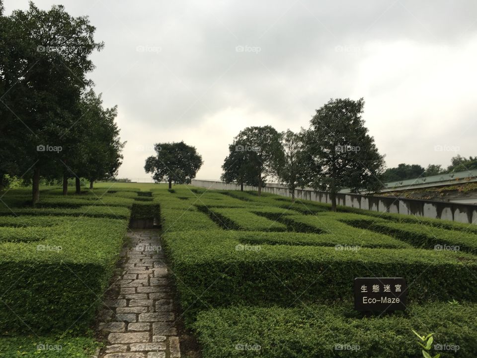 Urban View: Hong Kong