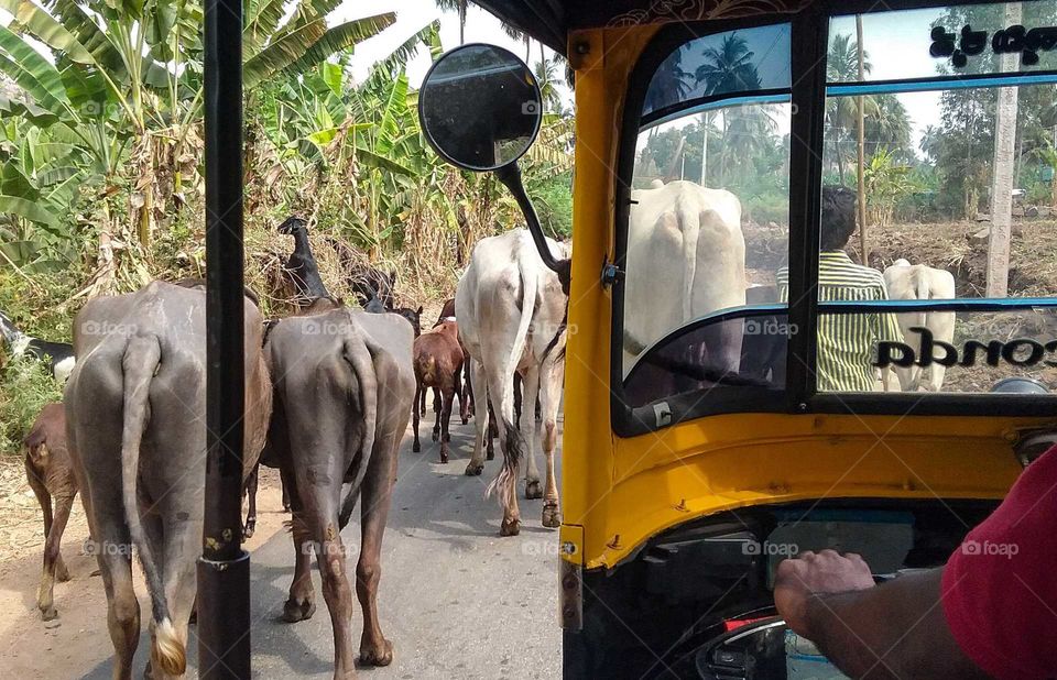 Obstacles along the way