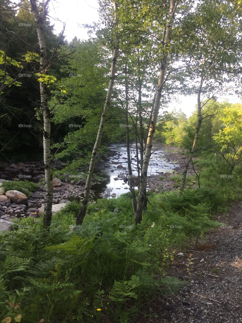 Sacandaga River bed