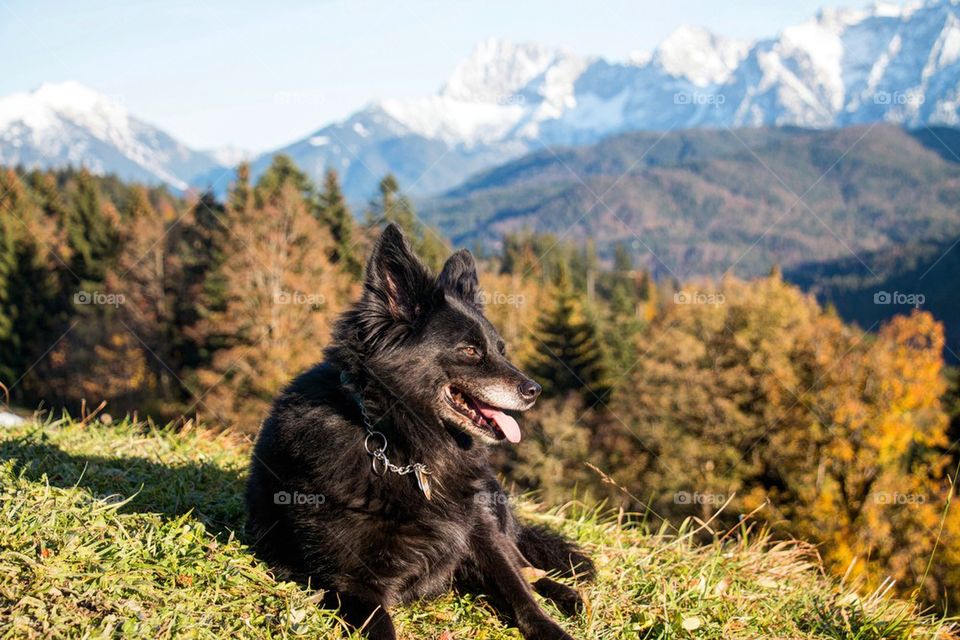 Sunbathing in the alps