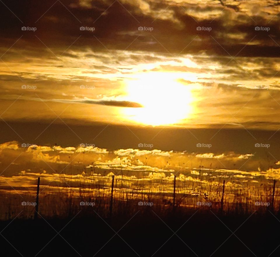 Sunrising over agricultural Hillside