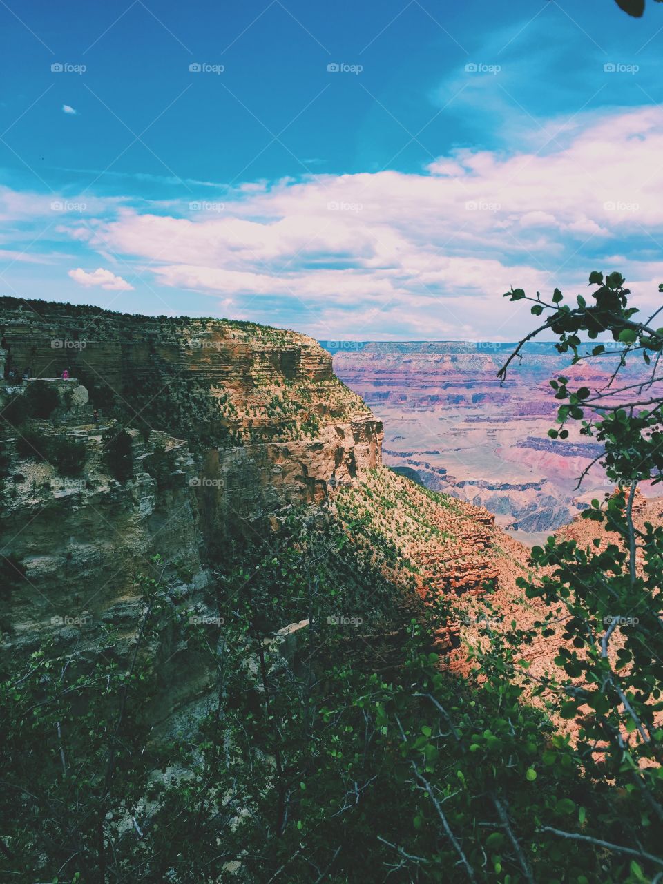 Grand Canyon . A recent trip to the Grand Canyon 