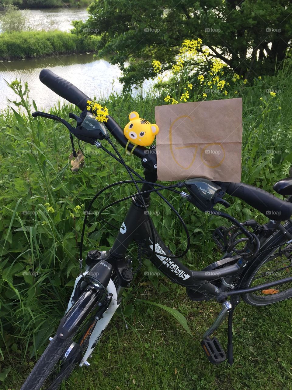 Bicycles are just perfect to go green and go out into nature.