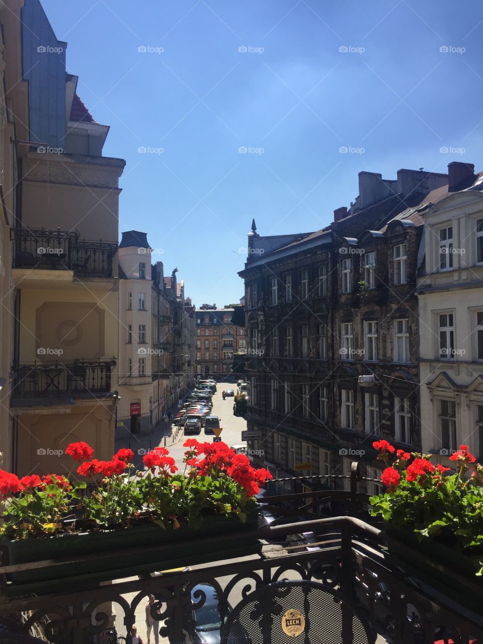 Streets of Poznan from the balcony with flowers 