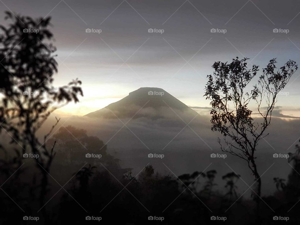 Sunrise and mountain view from a forest across. This is in Dieng Plateu, Central Java.