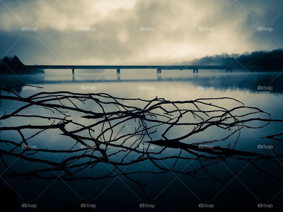 A blue selenium filter on an image of brambles protruding from the still water of a lake and a distant bridge on a foggy morning at Tims Ford State Park in Winchester Tennessee. 