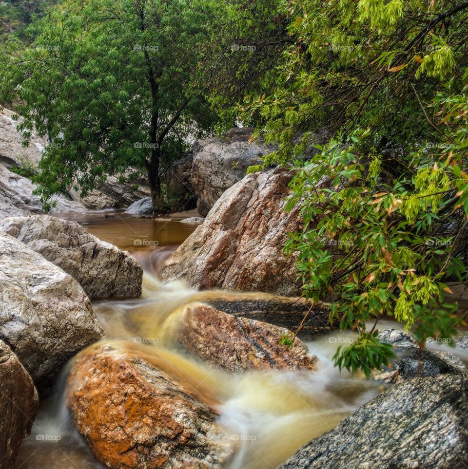 Nature - Water flow
