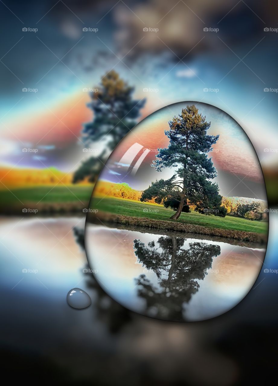 Just an fantasy tree and water scene