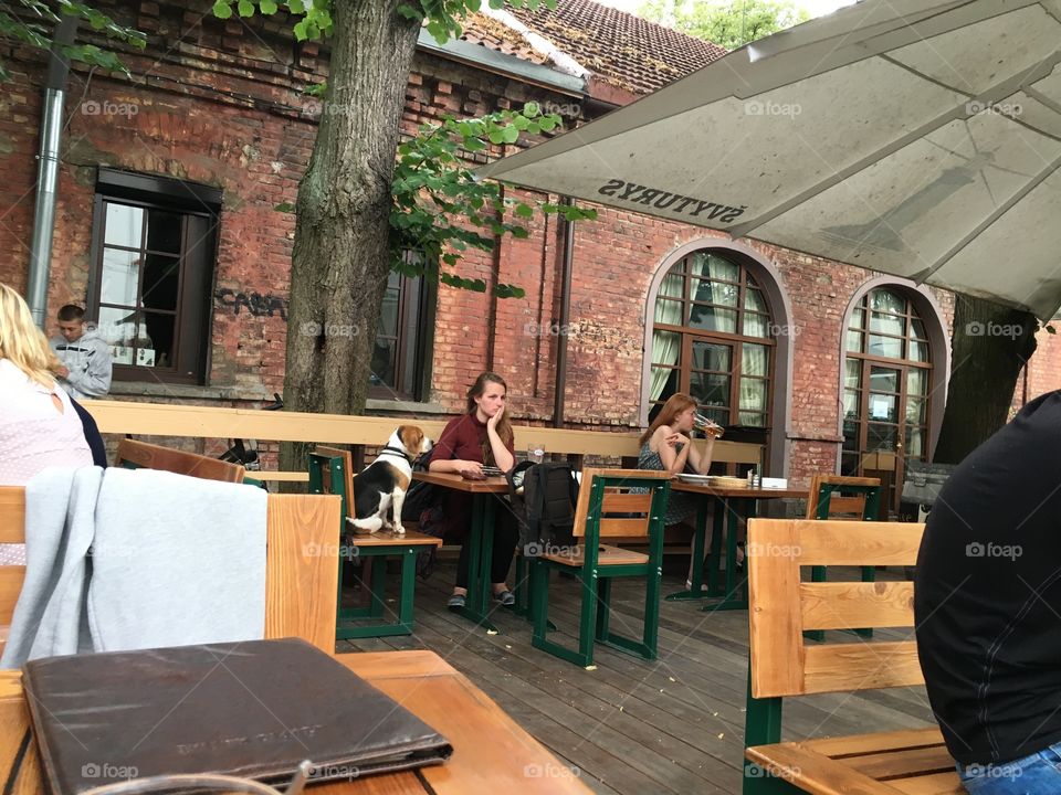 People, Furniture, Table, Restaurant, Chair