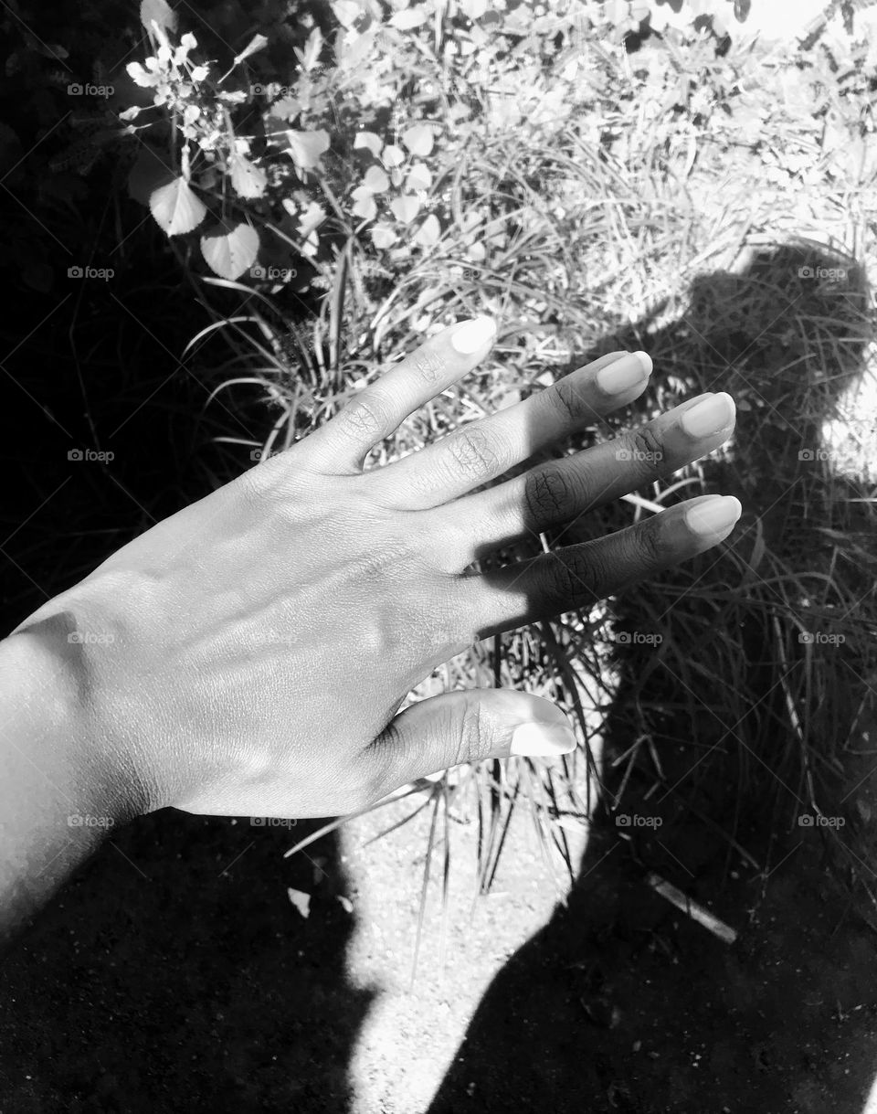 summer is here, utilizes the season to capture beautiful moments 