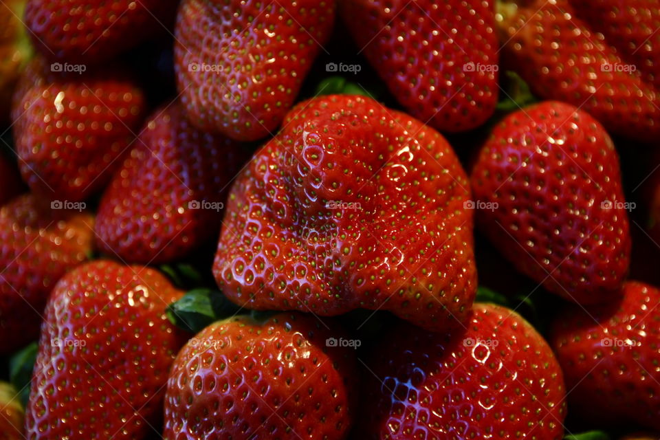 Fresas