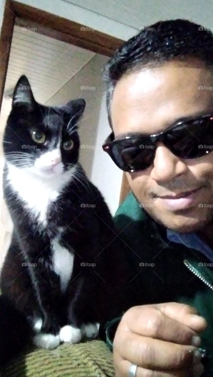 self com o gatinho