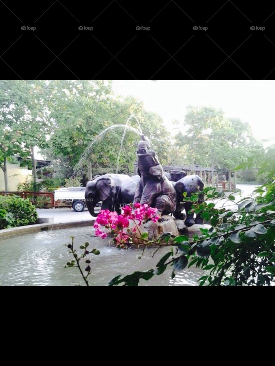 Fountain elephant 