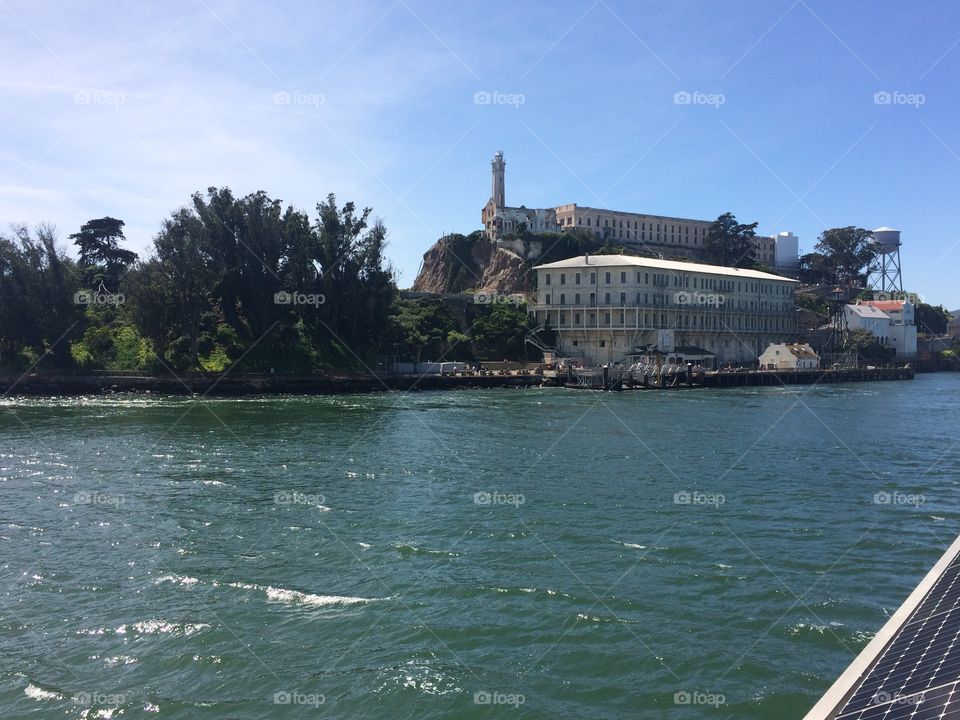 Alcatraz island 