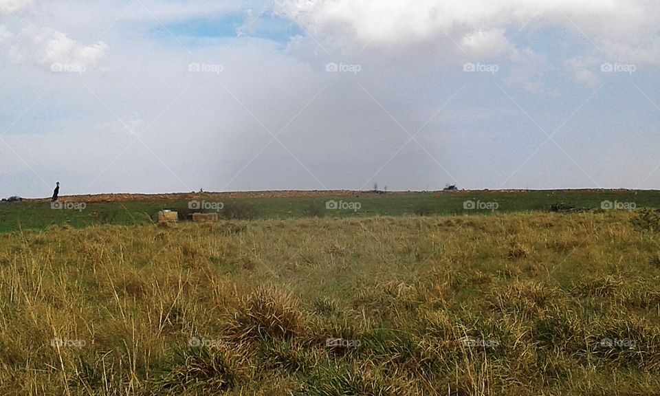 Krugersdorp Game Reserve