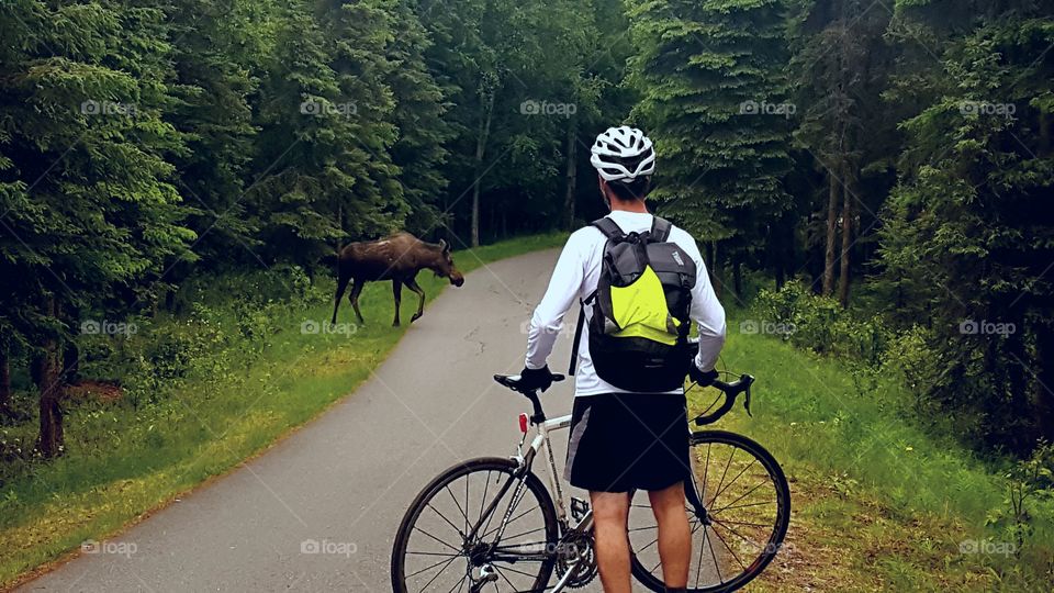 Alaska traffic problems